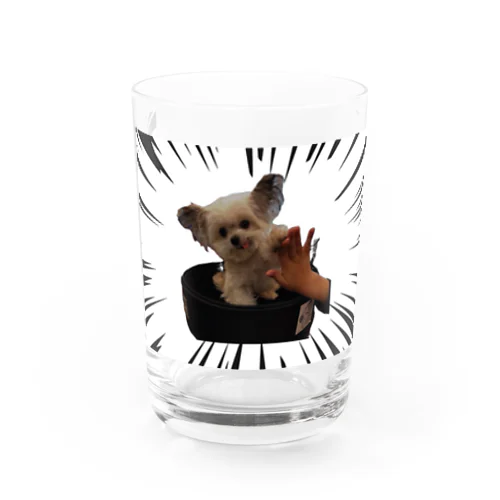 迫力ある可愛犬 Water Glass