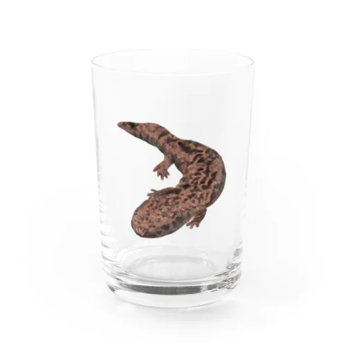 オオサンショウウオ Water Glass