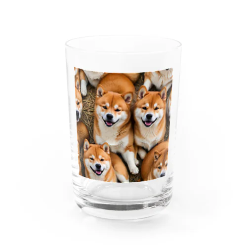 いつも一緒　柴犬 Water Glass