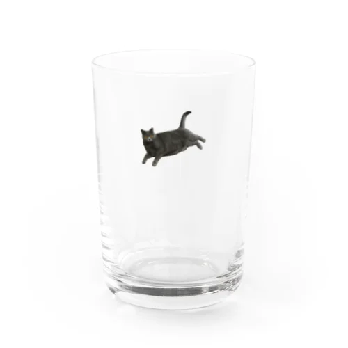 すずねこ（よこね） Water Glass
