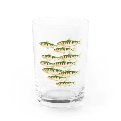 ヤマメの魚群 Water Glass