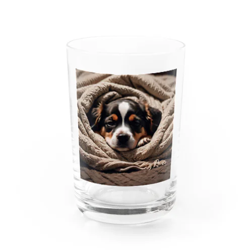 毛布に包まる犬 Water Glass