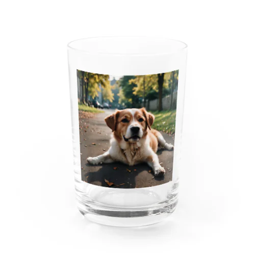 足を広げて座る犬 Water Glass