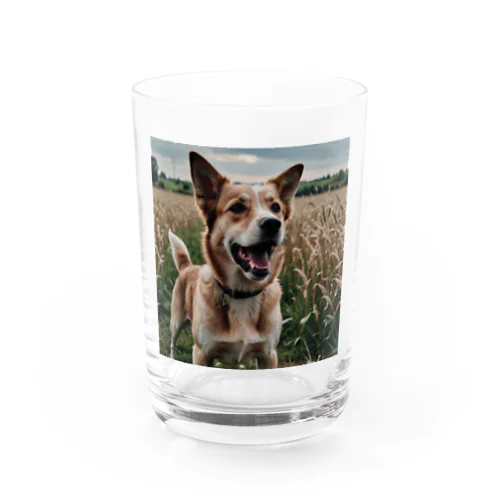 畑で微笑む犬 dog smailing in the ground Water Glass