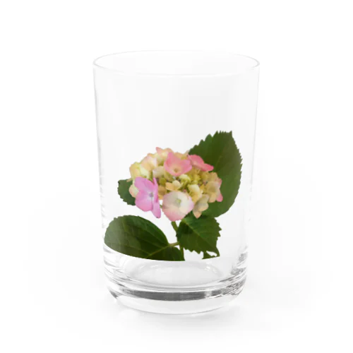 あの日の紫陽花 Water Glass