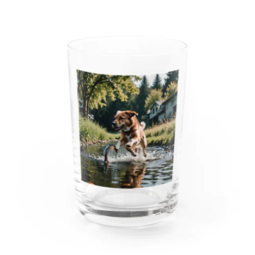 水辺を走る犬 dog runnning on the water Water Glass