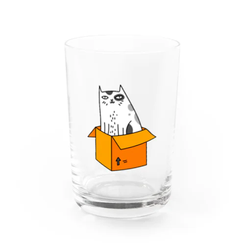 🐈 Water Glass