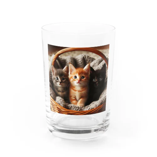 3匹の猫ちゃんグッツ Water Glass