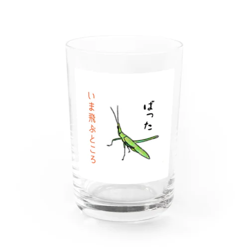 しんぼるず→ばった Water Glass