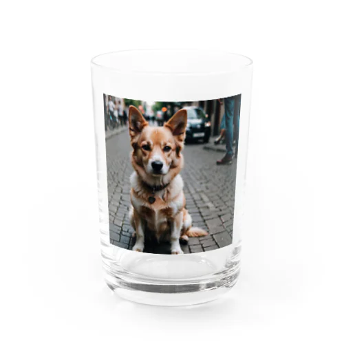 パワフルとは対照的な風貌を持つ可愛らしい犬がカメラ目線！ Water Glass