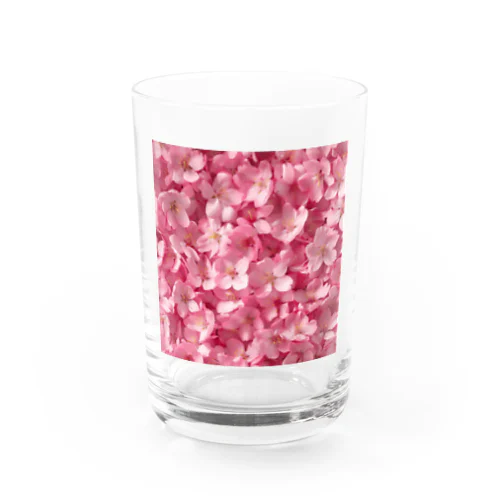 ピンクの花　桜　綺麗 Water Glass