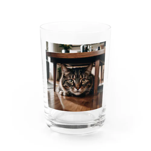 隠れる猫 Water Glass