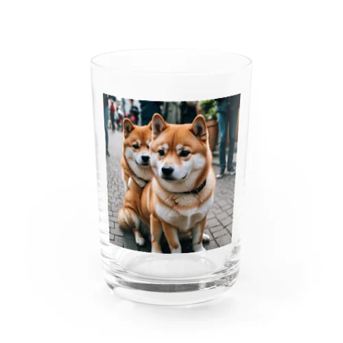 2匹のかわいい柴犬が仲良く並んで写っています。 Water Glass