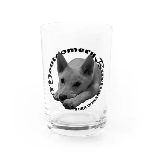 はじめましてモンゴメです Water Glass