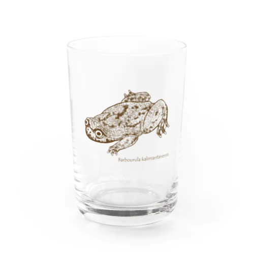 Barbourula kalimantanensis Water Glass