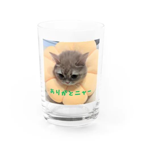 ありがとニャンコ Water Glass