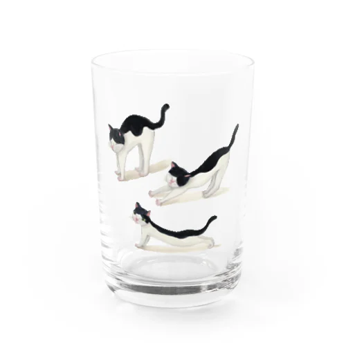 佐野早津紀　朝起きた猫 Water Glass