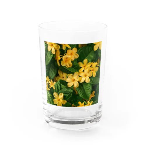 小さい可愛らしい黄色い花 グラス