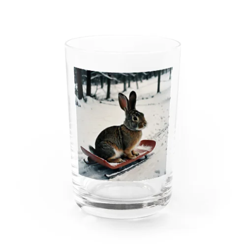 そりで滑っているウサギ Water Glass