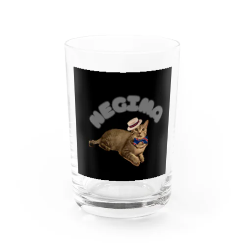 negima① Water Glass