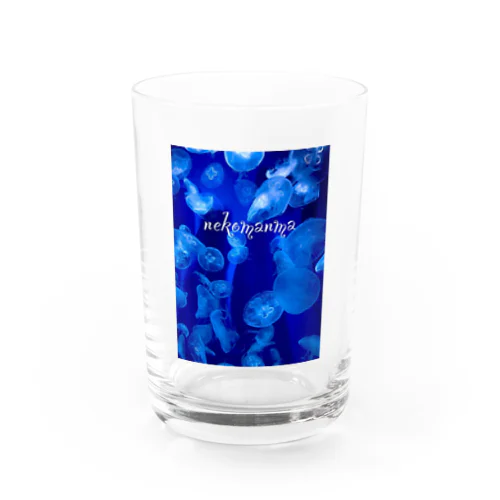 Fantasy of JerryFish  Water Glass