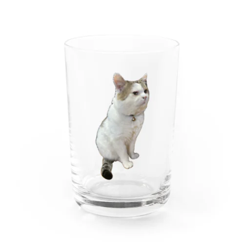 キュルルンだいふくちゃん Water Glass