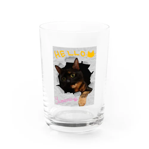 Hello！ゆめの Water Glass