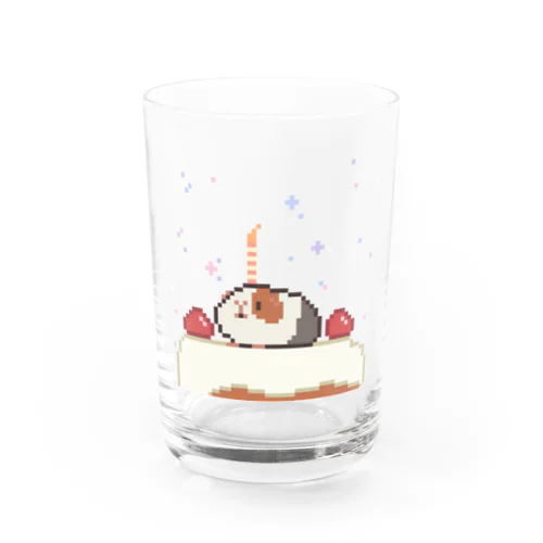 モルモットバースデー Water Glass