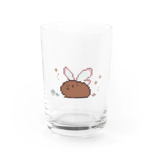 フェアリーモルモット Water Glass