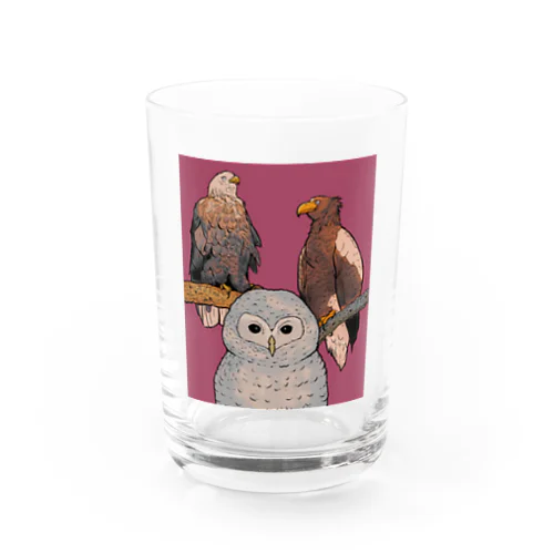 猛禽類の集い Water Glass