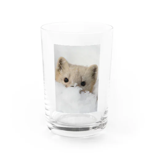 【#癒される】サロベツのエゾクロテン Water Glass