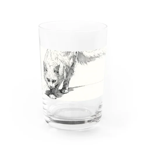 威嚇白猫 Water Glass