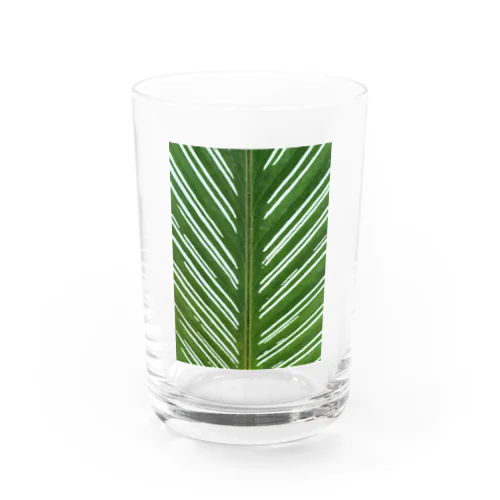 葉脈 Water Glass