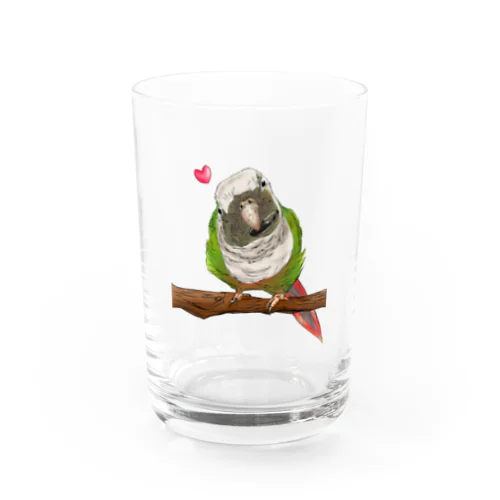 ホオミドリアカオウロコインコ フルカラー① Water Glass