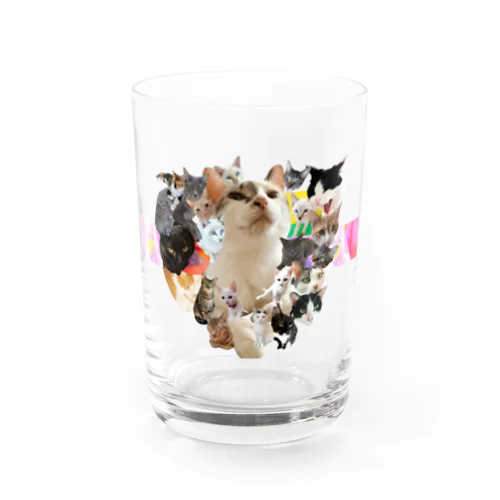 ノリにゃんずオールスター Water Glass