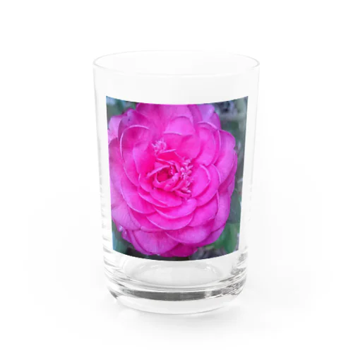 山茶花 Water Glass