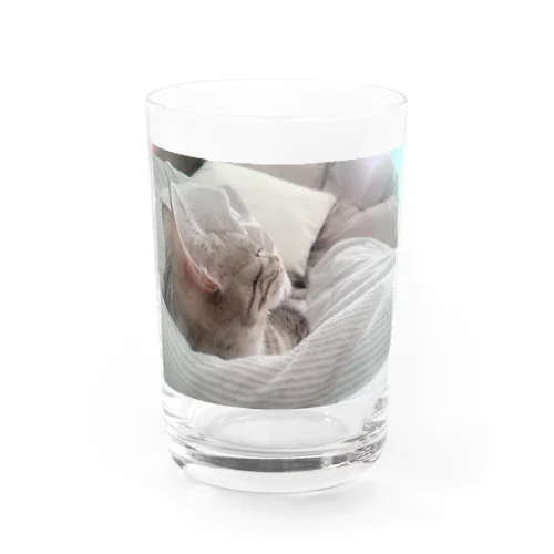 ねこ Water Glass