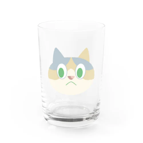 人を見下す三毛キャット Water Glass