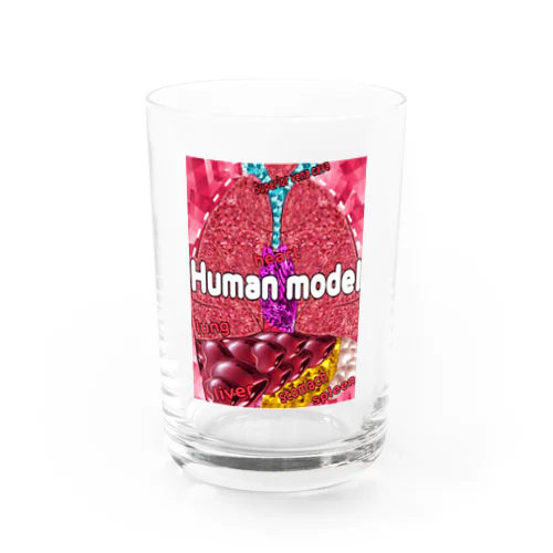 人体模型 Water Glass