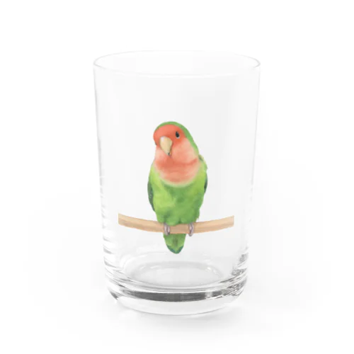 コザクラインコ Water Glass