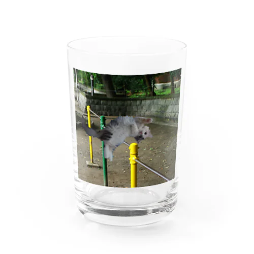 鉄棒で背面跳びするねこ Water Glass