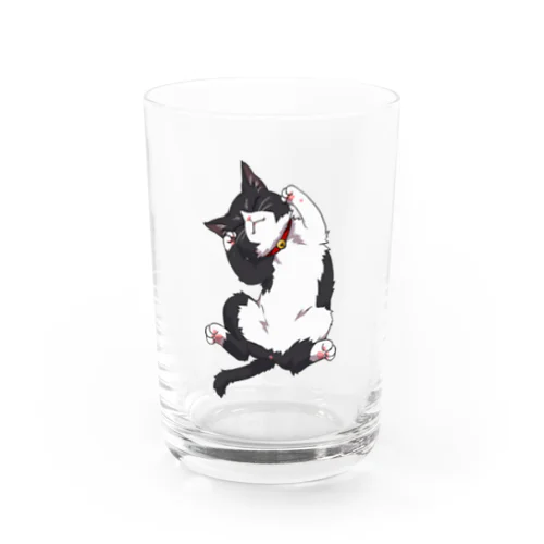 ヘソ天猫(ハチワレ) Water Glass