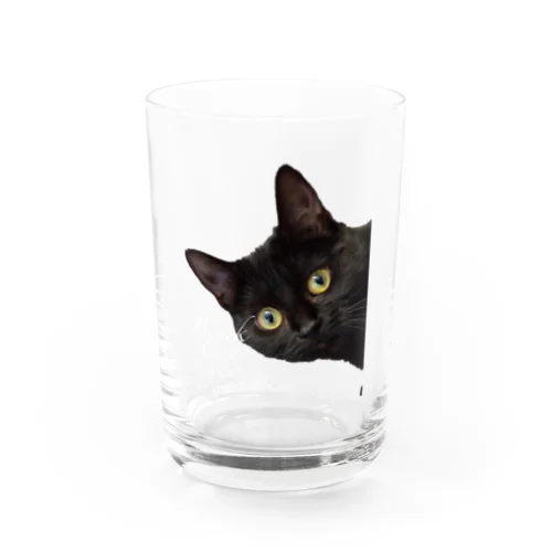 黒猫の目 Water Glass