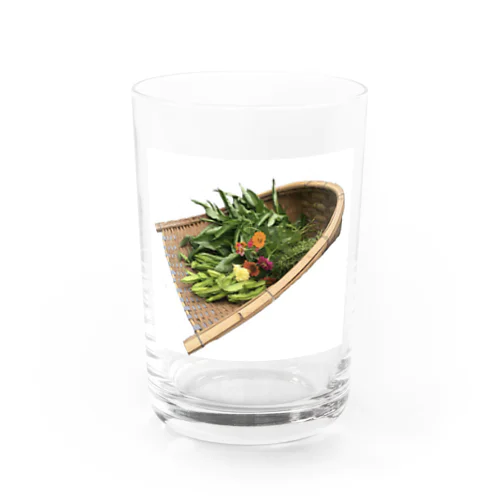 Yasai to bamboo Water Glass