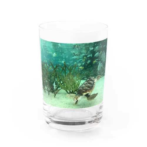 竜宮城 Water Glass