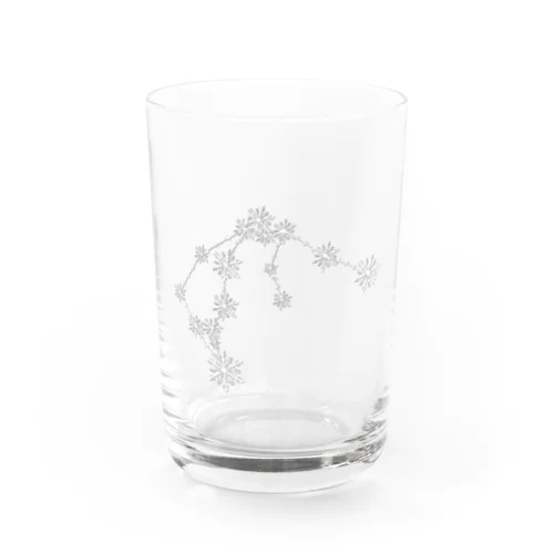 みずがめ座 Water Glass