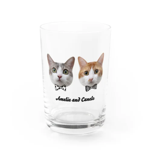 Twins Cats Amelie and Canele Water Glass