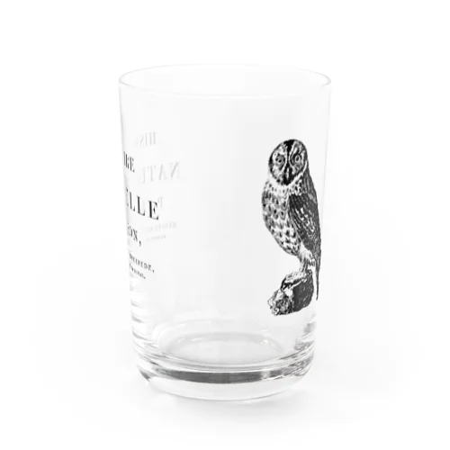 フクロウ＜アンティーク・イラスト＞ Water Glass