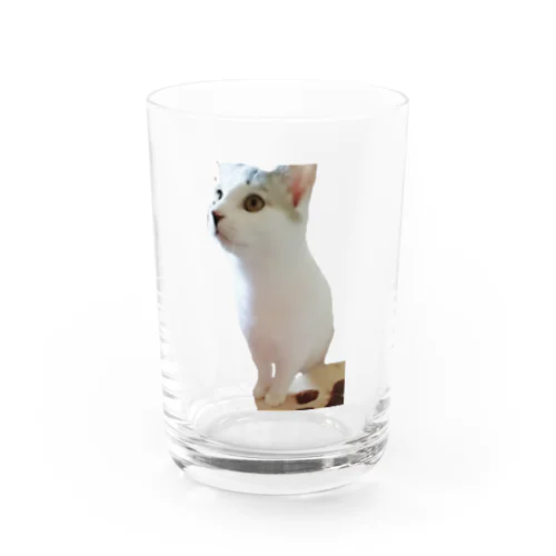 ★oujiii'★ Water Glass