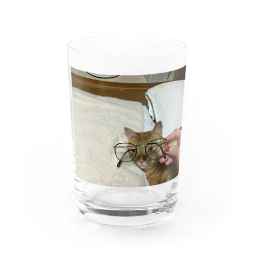 BUN Water Glass